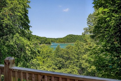 The Shoreline Lake House is one of Center Hill Lakes Closest to - photo 42