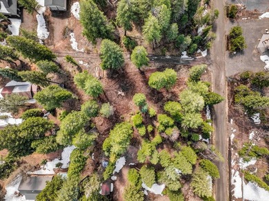 No HOA and no CCRs! This spacious corner lot, just over half an - photo 3