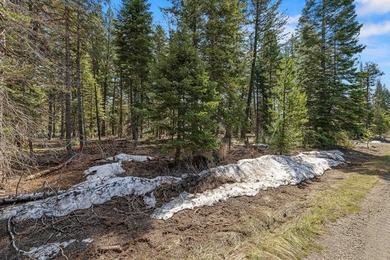 No HOA and no CCRs! This spacious corner lot, just over half an - photo 7