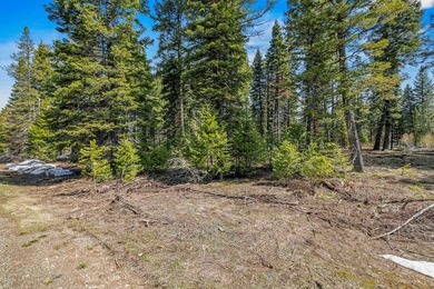 No HOA and no CCRs! This spacious corner lot, just over half an - photo 9