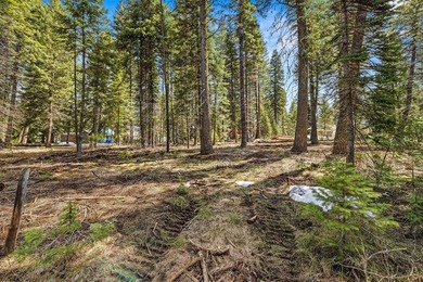 No HOA and no CCRs! This spacious corner lot, just over half an - photo 10