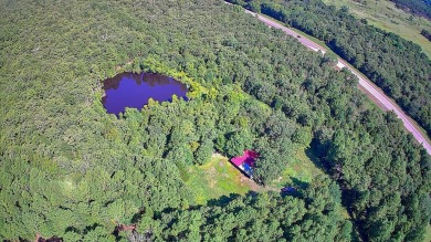 (private lake, pond, creek) Home For Sale in Wilburton Oklahoma