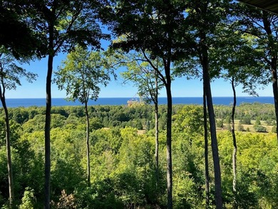 Lake Micigan - Door County Condo For Sale in Egg Harbor Wisconsin