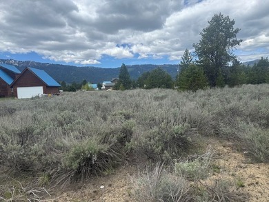 60-acre property in Donnelly located on the way to Tamarack - photo 3