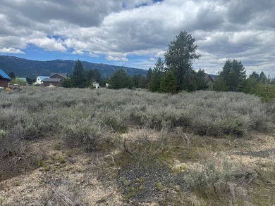 60-acre property in Donnelly located on the way to Tamarack - photo 4