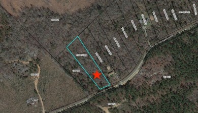 Come build your dream home and have privacy ! LOT 2 Stonecrest - Lake Lot For Sale in Eatonton, Georgia