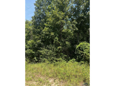 Lake Deerwood Lot For Sale in Harleton Texas