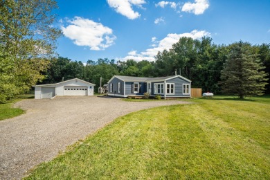 Lake Home For Sale in Springport, Michigan