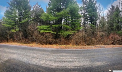 Sleepy Hollow Lake Lot For Sale in Athens New York