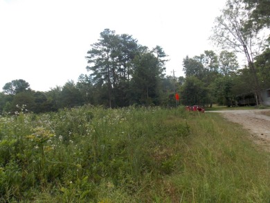 Lake Lot For Sale in Lincolnton, Georgia