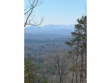 (private lake, pond, coastal) Acreage For Sale in Murphy North Carolina