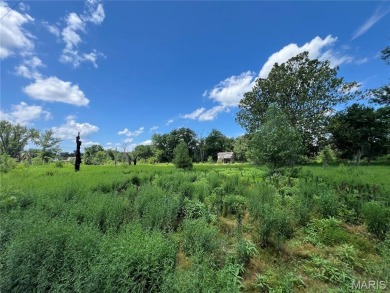 Lake Lot For Sale in Elsberry, Missouri