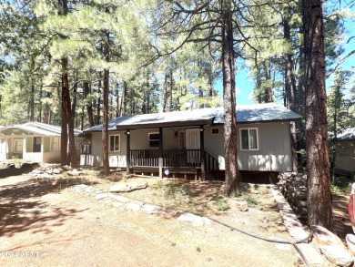 Lake Home For Sale in Mormon Lake, Arizona