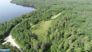 14.9 acres with approx. quarter mile of frontage along the Niles - Lake Acreage For Sale in Buyck, Minnesota