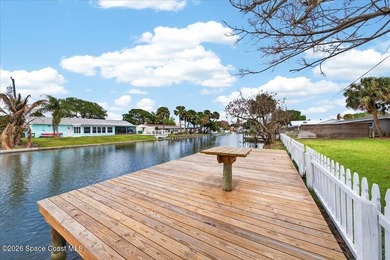COCOA BEACH CANAL FRONT BEAUTY - with no cast iron and with - photo 19