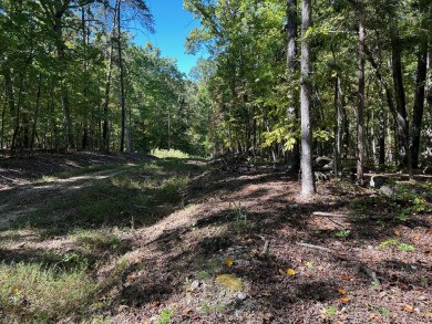 Watts Bar Lake Lot For Sale in Spring City Tennessee