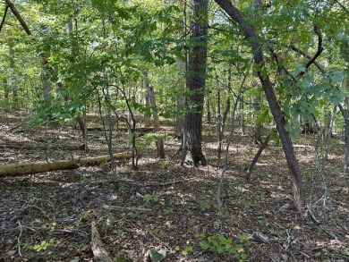Watts Bar Lake Lot For Sale in Spring City Tennessee