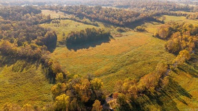 Lake Home For Sale in Mammoth Spring, Arkansas