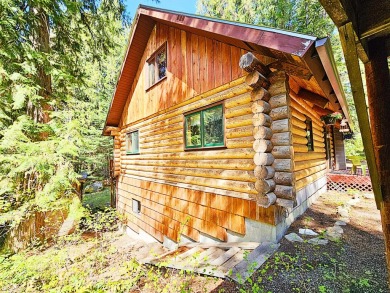 Lake Home For Sale in Colville, Washington