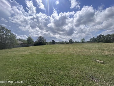 BUILDING OPPORTUNITY in Windward Bluff, a gated community on the - photo 3