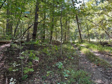 Watts Bar Lake Lot For Sale in Spring City Tennessee