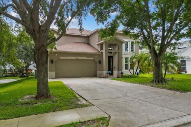 Lake Saunders Home For Sale in Tavares Florida