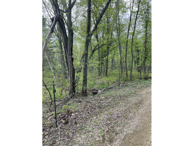 It is not often you can buy this much undeveloped land on a lake - photo 11