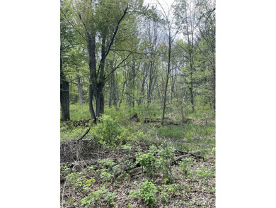 It is not often you can buy this much undeveloped land on a lake - photo 12