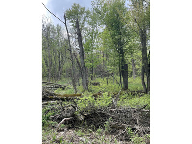 It is not often you can buy this much undeveloped land on a lake - photo 13