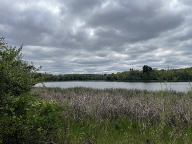 It is not often you can buy this much undeveloped land on a lake - photo 16