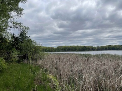 It is not often you can buy this much undeveloped land on a lake - photo 17