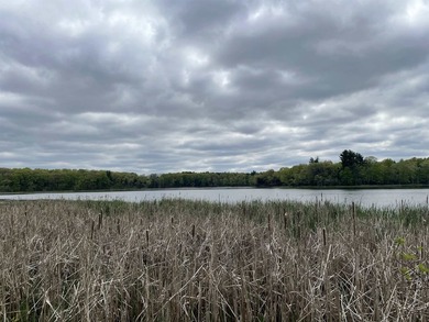 It is not often you can buy this much undeveloped land on a lake - photo 18