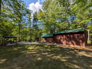 Lake Home For Sale in Bitely, Michigan