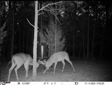 71.97 Acres of Prime Waterfront Land -- Hunter's Paradise & - photo 22