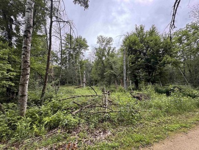 It is not often you can buy this much undeveloped land on a lake - photo 22