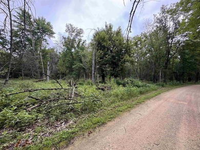 It is not often you can buy this much undeveloped land on a lake - photo 23