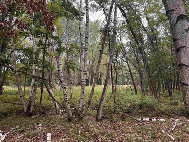 It is not often you can buy this much undeveloped land on a lake - photo 24