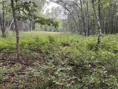It is not often you can buy this much undeveloped land on a lake - photo 25