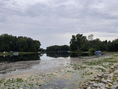It is not often you can buy this much undeveloped land on a lake - photo 26