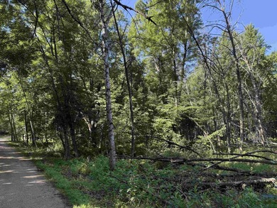 It is not often you can buy this much undeveloped land on a lake - photo 27