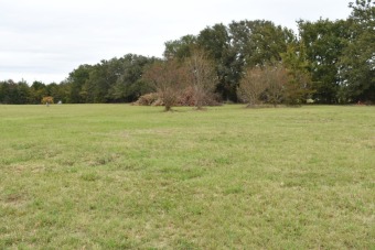 3+ ACRES IN THE HEART OF LAKE FORK, NO ZONING - Lake Acreage Sale Pending in Yantis, Texas
