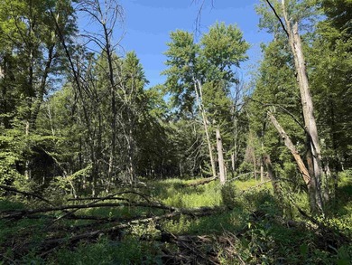 It is not often you can buy this much undeveloped land on a lake - photo 28
