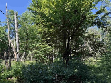 It is not often you can buy this much undeveloped land on a lake - photo 29