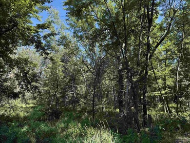 It is not often you can buy this much undeveloped land on a lake - photo 30