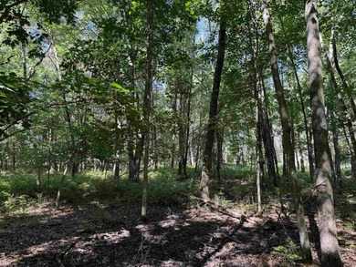 It is not often you can buy this much undeveloped land on a lake - photo 31