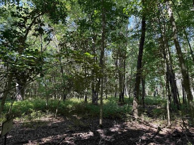 It is not often you can buy this much undeveloped land on a lake - photo 32