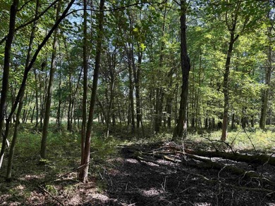 It is not often you can buy this much undeveloped land on a lake - photo 33