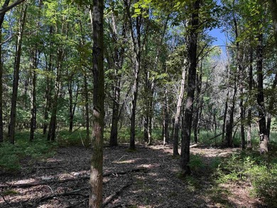 It is not often you can buy this much undeveloped land on a lake - photo 34