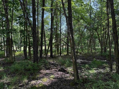 It is not often you can buy this much undeveloped land on a lake - photo 35