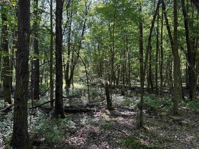 It is not often you can buy this much undeveloped land on a lake - photo 36